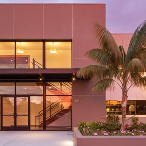 A modern office re-design front of building with palm tree and large glass windows