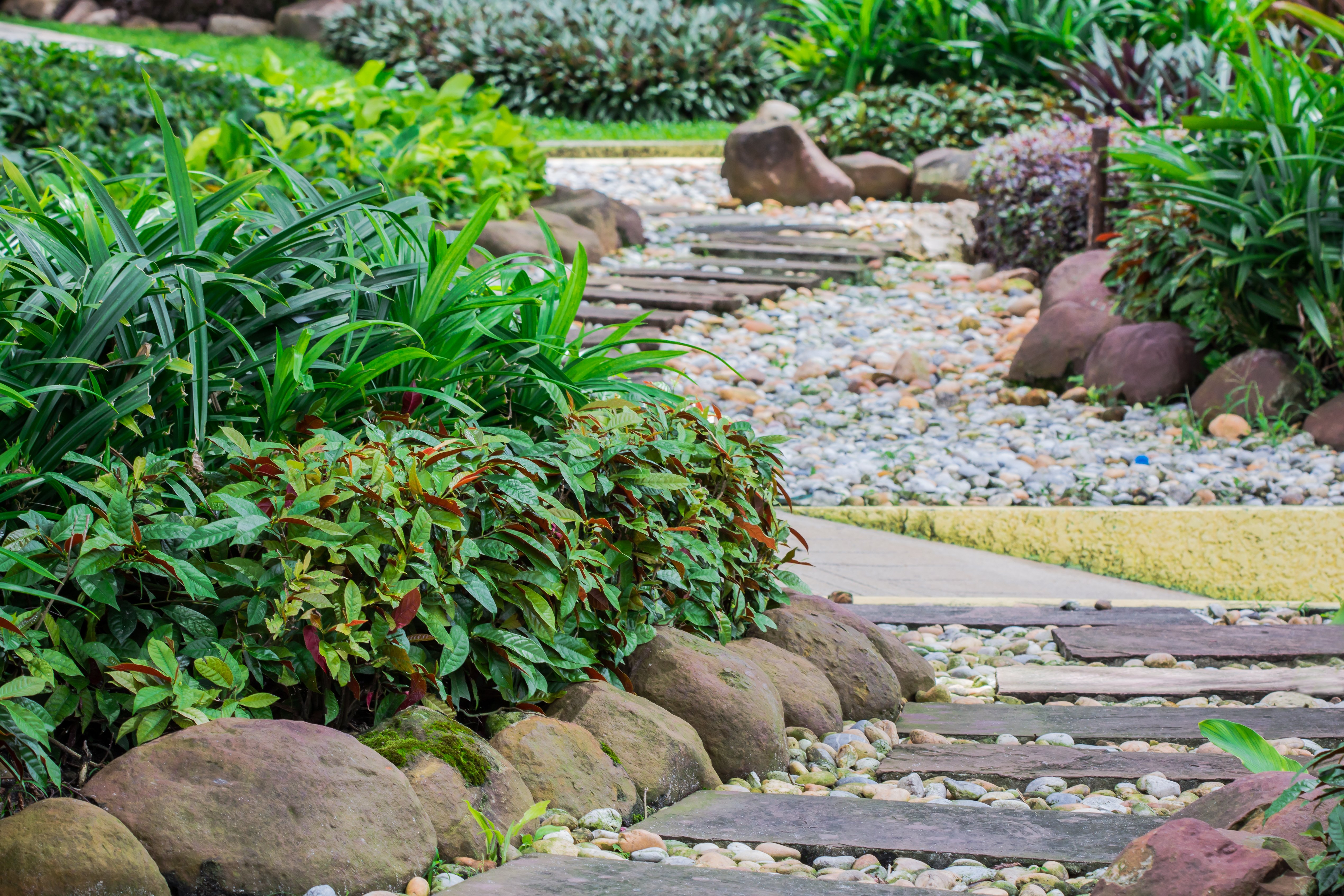 Tranquil garden pathway enhances outdoor living in a modern forever home landscape design.