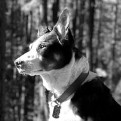 Rusty Portrait B+W